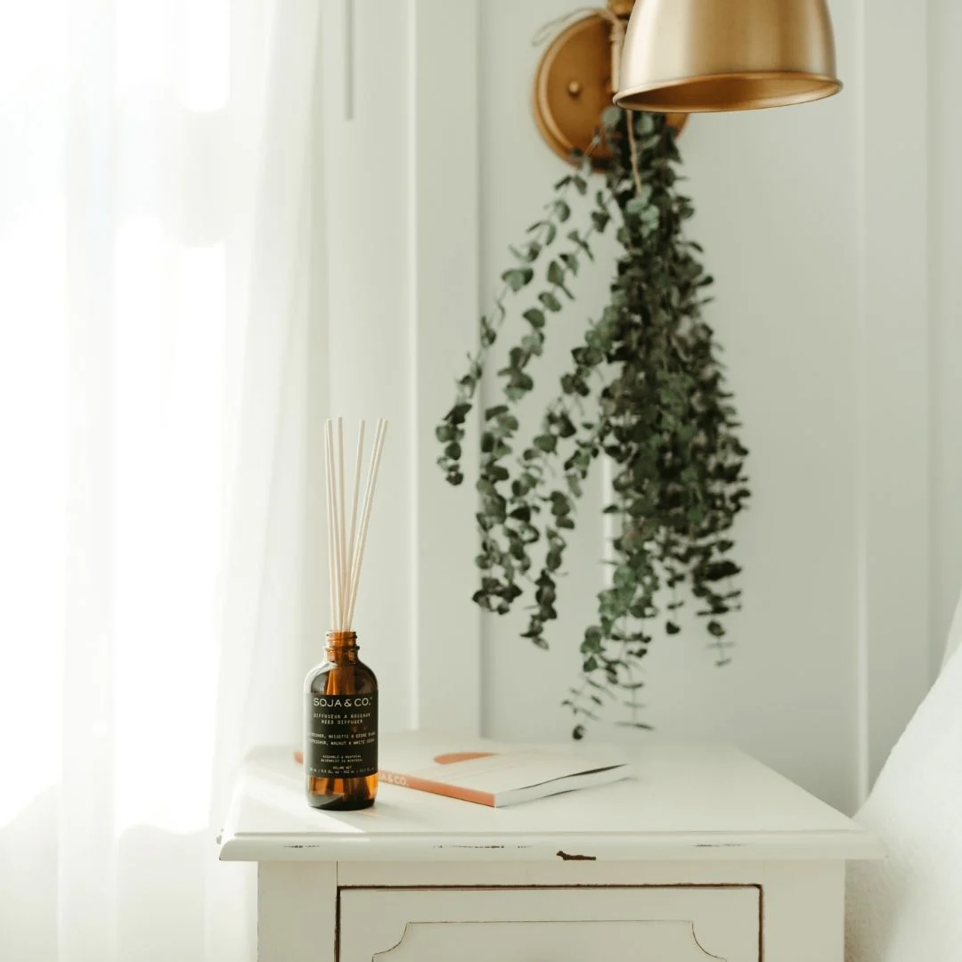 Bouquet d'eucalyptus séché - Image 4