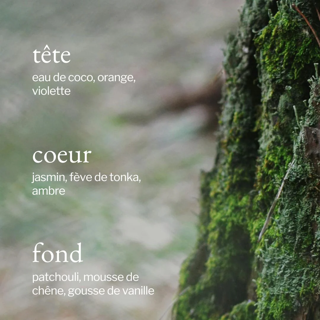 Bougie | Mousse de chêne + Bergamote - Image 3