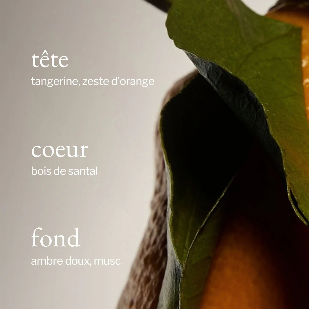 Lait de corps | Tangerine, Santal & Ambre - Image 3