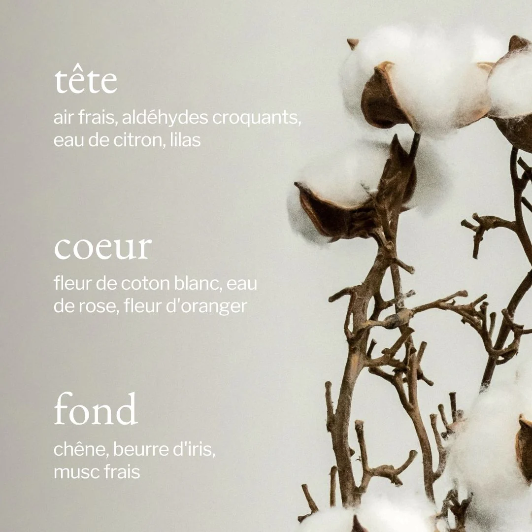 Diffuseur à roseaux | Coton blanc + Linge frais - Image 3