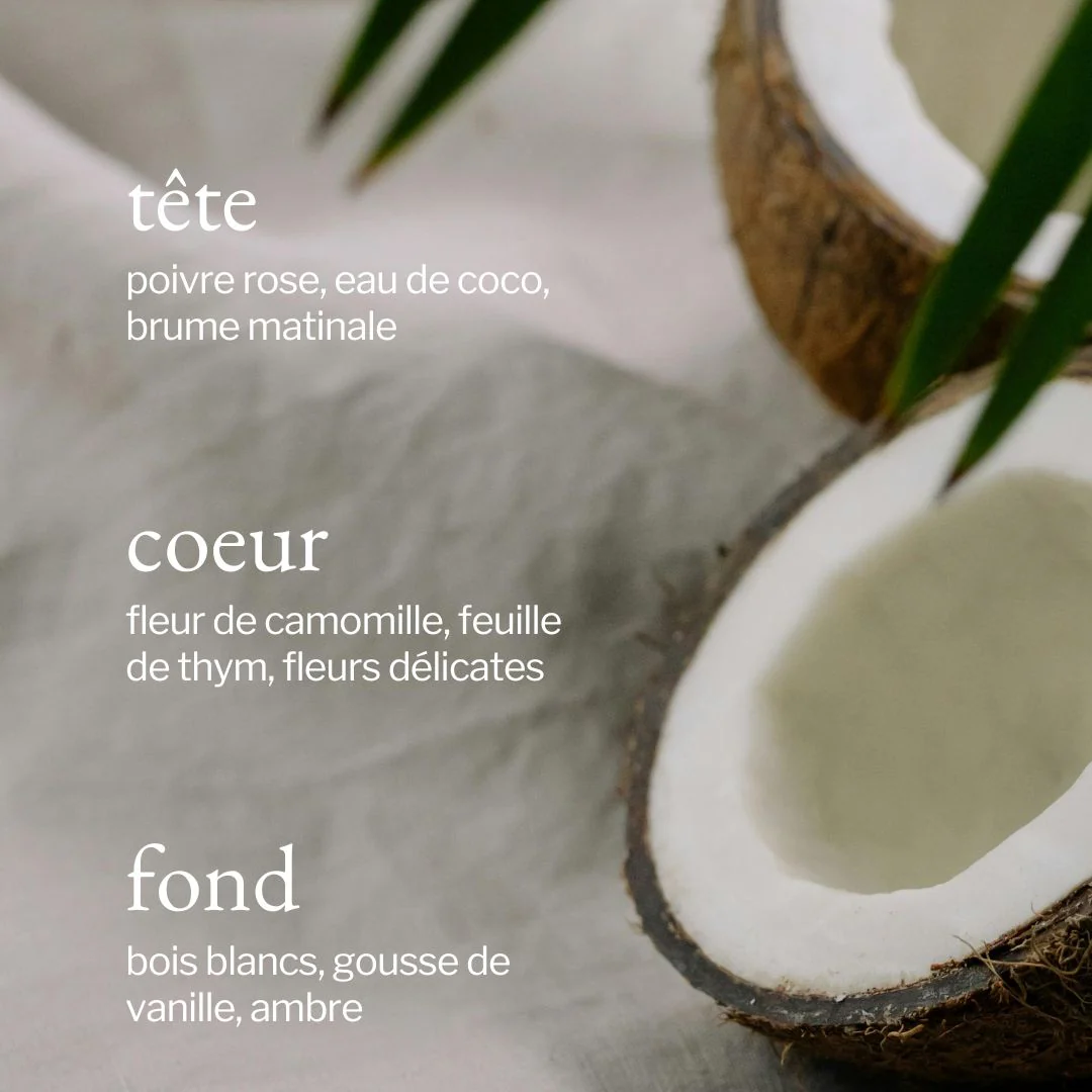 Bougie | Thym + Coco - Image 4