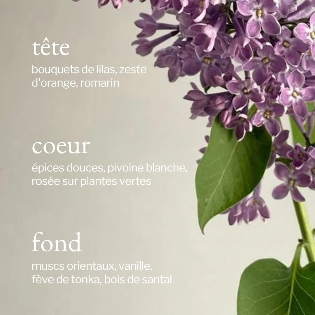 Bruine d'ambiance | Lilas + Romarin - Image 3